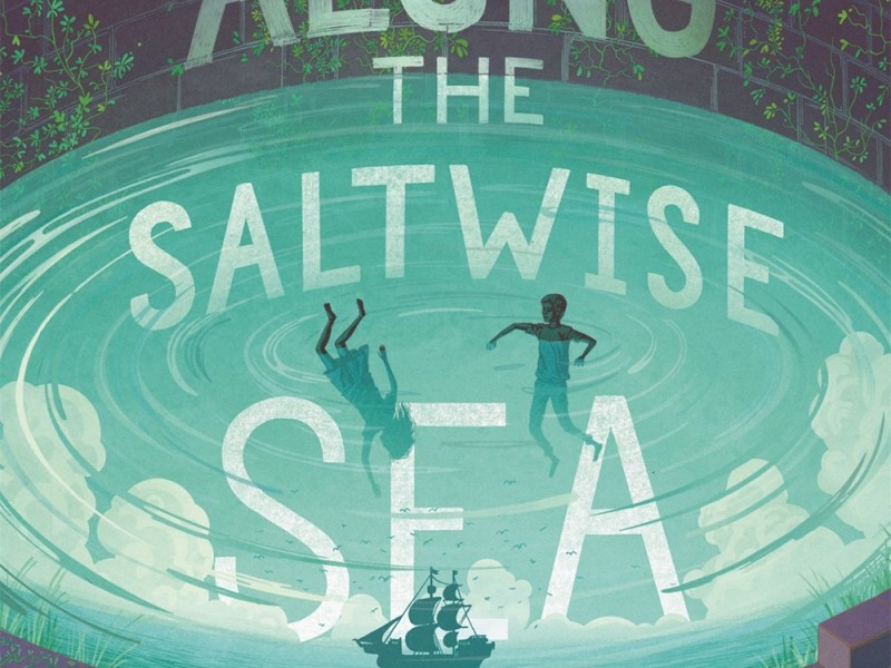 Review:  Along the Saltwise Sea by A. Deborah Baker